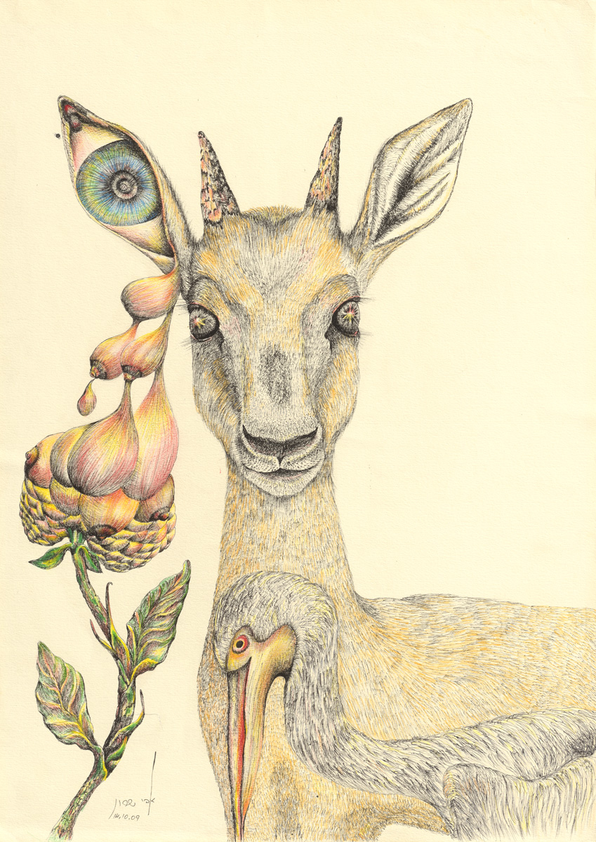 Baby Deer  H 68 cm x  W 48 cm  Colored Pencils & Ink